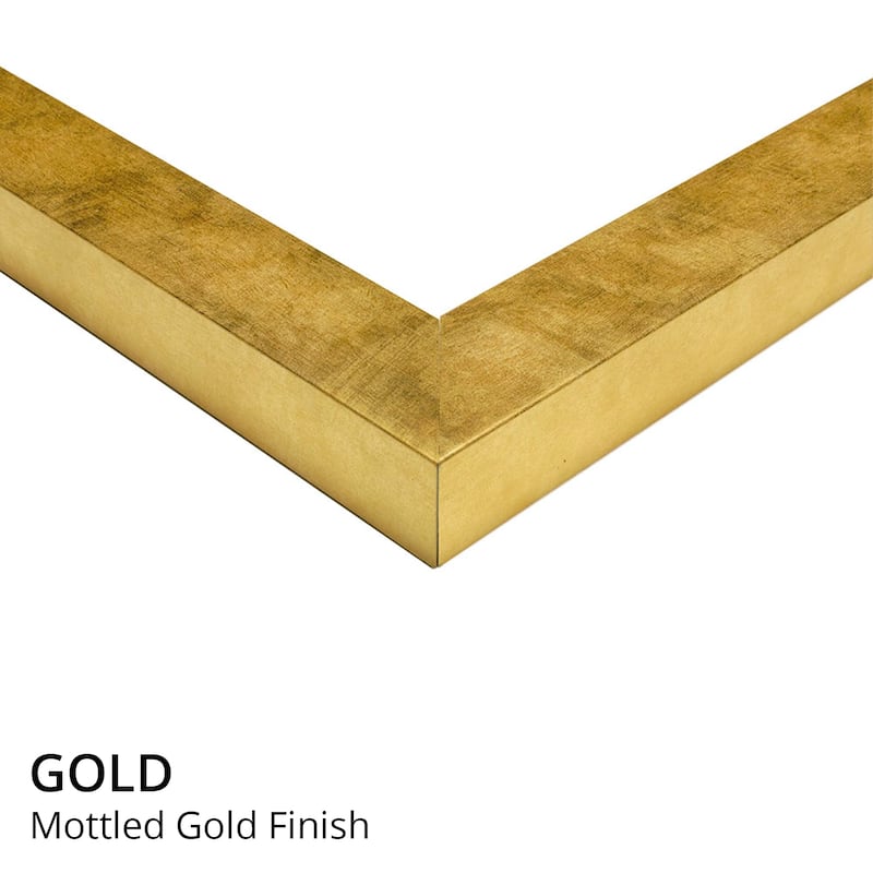 iCanvas "Border Collie Rough Coat Infographic Blue" by